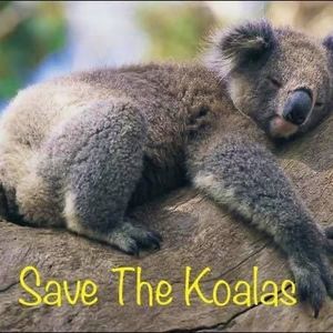 Meet your Posher, Michaela